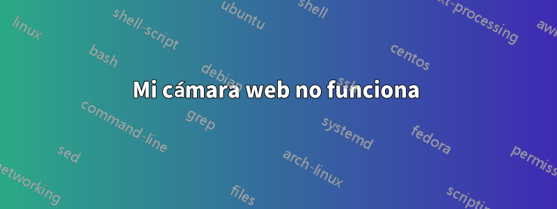 Mi cámara web no funciona