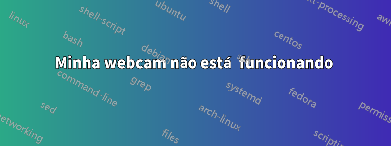 Minha webcam não está funcionando