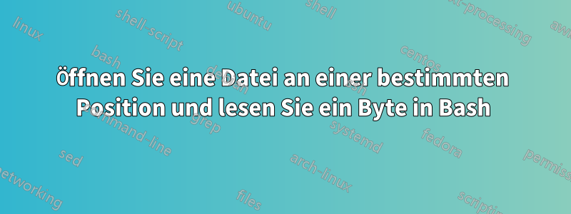 Öffnen Sie eine Datei an einer bestimmten Position und lesen Sie ein Byte in Bash