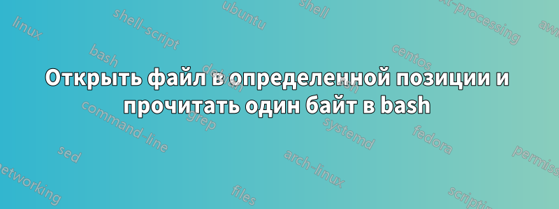 Открыть файл в определенной позиции и прочитать один байт в bash