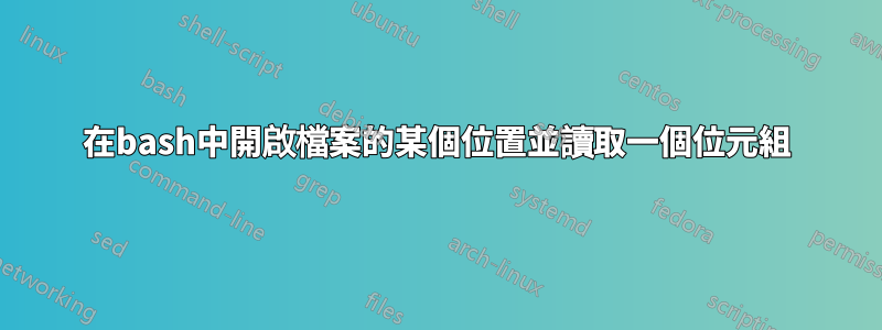 在bash中開啟檔案的某個位置並讀取一個位元組