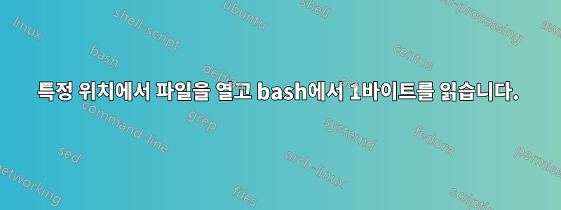 특정 위치에서 파일을 열고 bash에서 1바이트를 읽습니다.