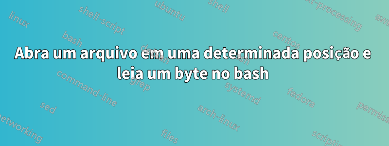 Abra um arquivo em uma determinada posição e leia um byte no bash