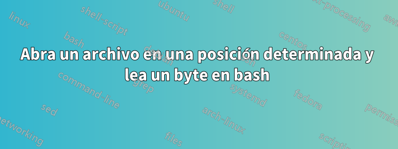 Abra un archivo en una posición determinada y lea un byte en bash