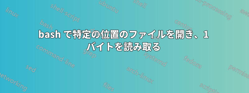 bash で特定の位置のファイルを開き、1 バイトを読み取る