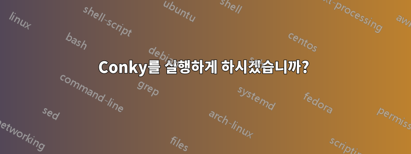 Conky를 실행하게 하시겠습니까?