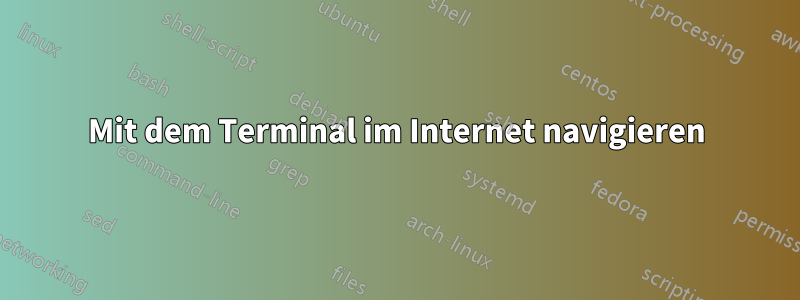 Mit dem Terminal im Internet navigieren