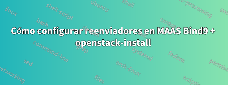 Cómo configurar reenviadores en MAAS Bind9 + openstack-install