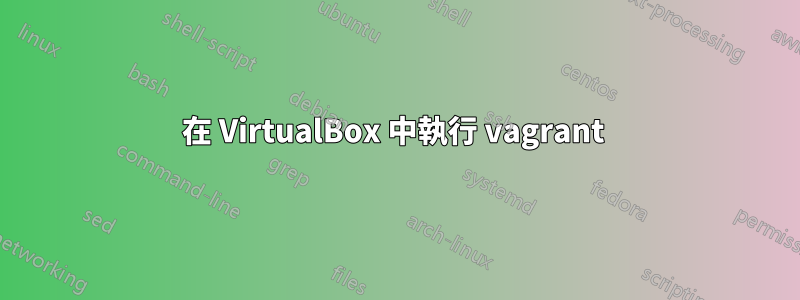 在 VirtualBox 中執行 vagrant 