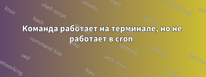 Команда работает на терминале, но не работает в cron 