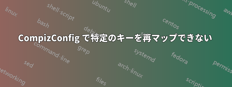 CompizConfig で特定のキーを再マップできない