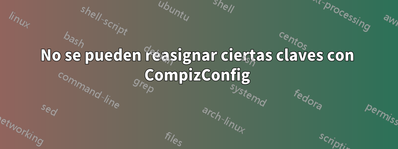 No se pueden reasignar ciertas claves con CompizConfig