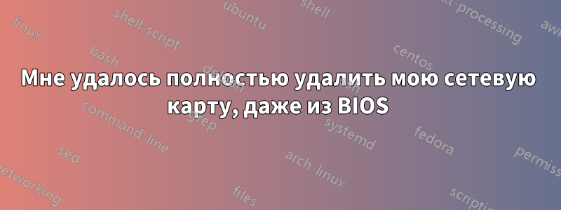 Мне удалось полностью удалить мою сетевую карту, даже из BIOS