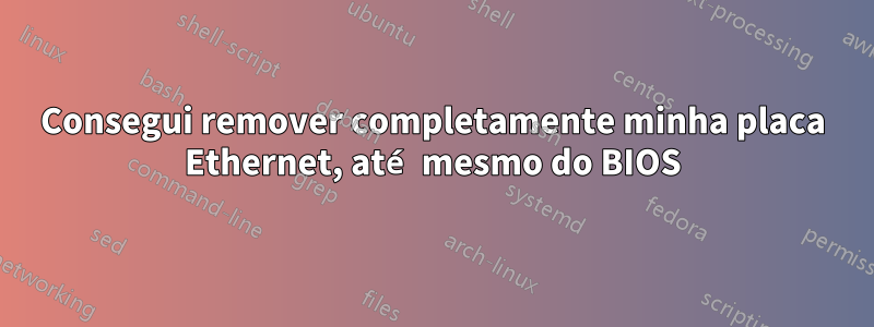 Consegui remover completamente minha placa Ethernet, até mesmo do BIOS