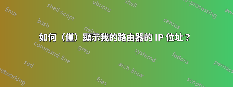 如何（僅）顯示我的路由器的 IP 位址？