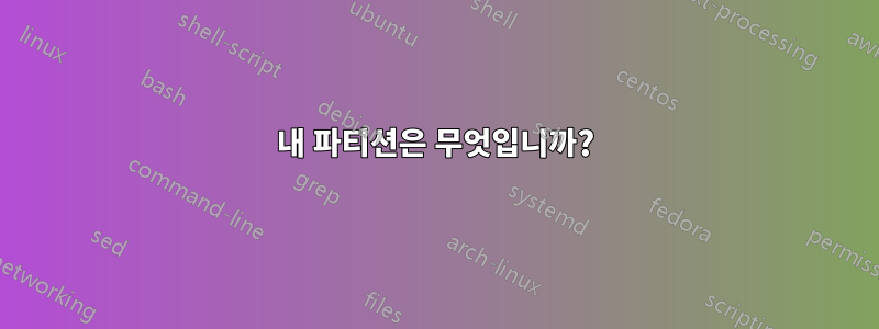 내 파티션은 무엇입니까?