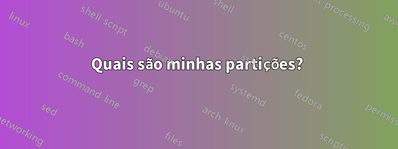 Quais são minhas partições?