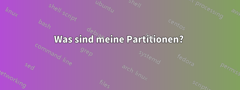 Was sind meine Partitionen?