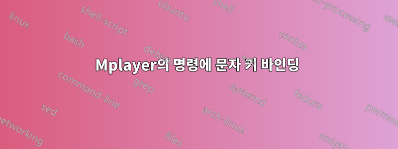 Mplayer의 명령에 문자 키 바인딩