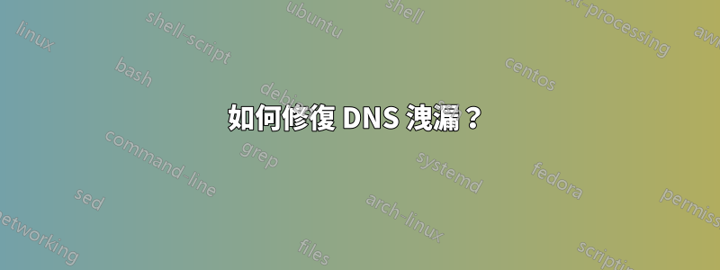 如何修復 DNS 洩漏？