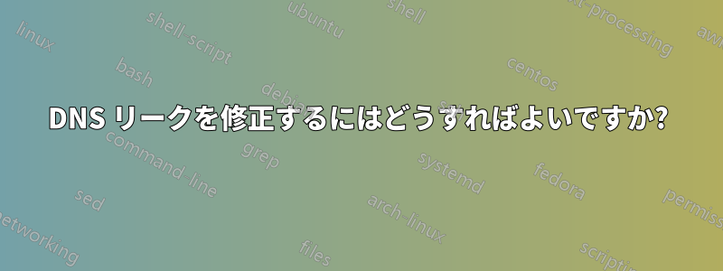 DNS リークを修正するにはどうすればよいですか?