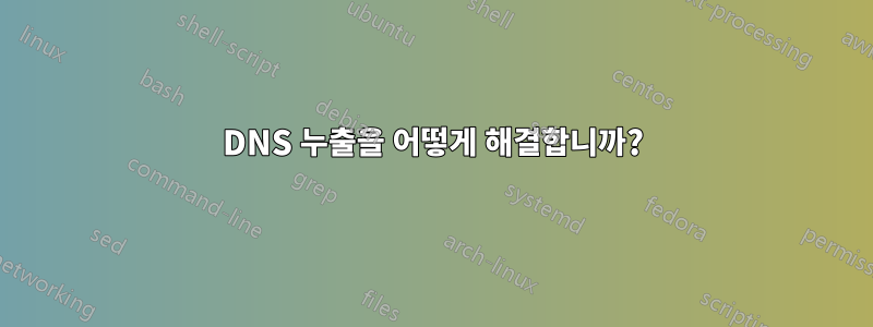 DNS 누출을 어떻게 해결합니까?