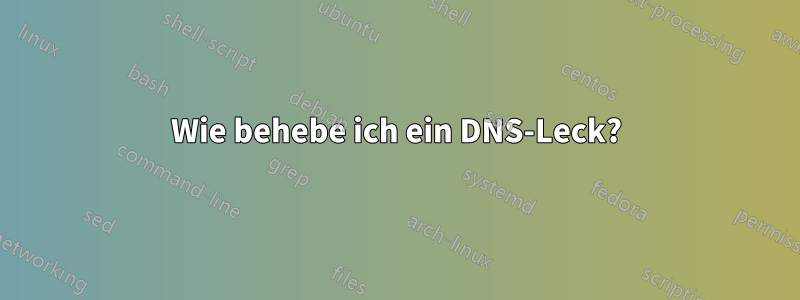 Wie behebe ich ein DNS-Leck?