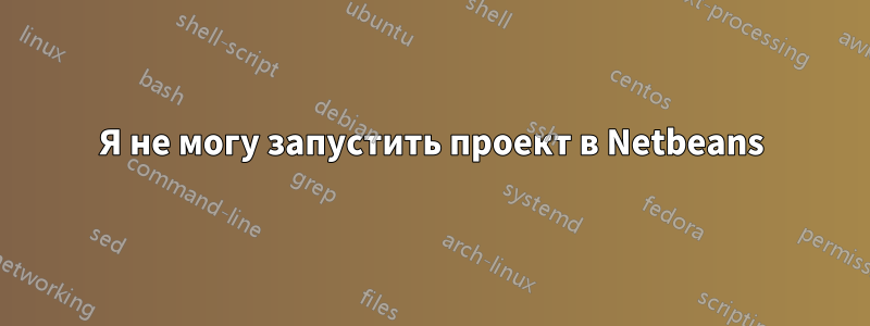 Я не могу запустить проект в Netbeans