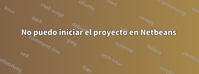 No puedo iniciar el proyecto en Netbeans