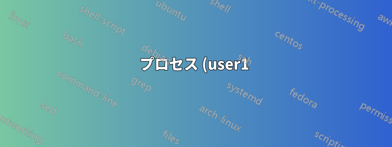 プロセス (user1) がディレクトリ (root) にログを書き込む方法