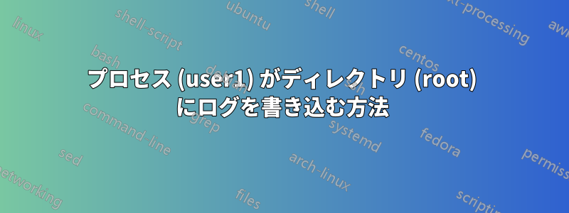 プロセス (user1) がディレクトリ (root) にログを書き込む方法