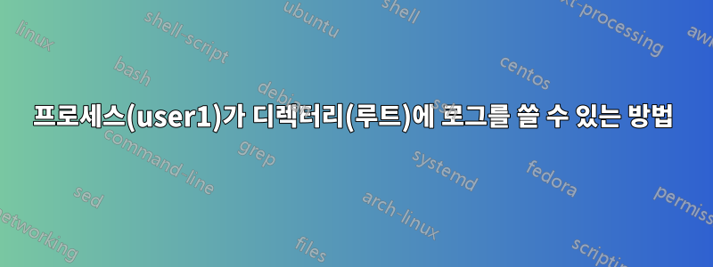 프로세스(user1)가 디렉터리(루트)에 로그를 쓸 수 있는 방법