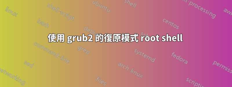 使用 grub2 的復原模式 root shell