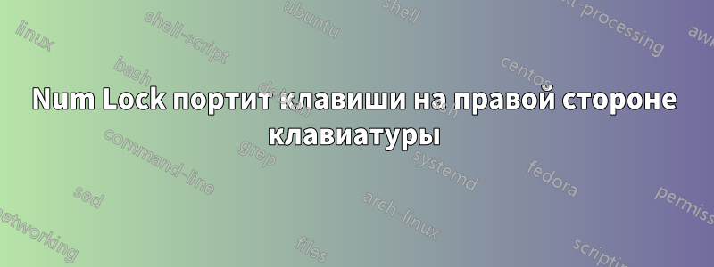 Num Lock портит клавиши на правой стороне клавиатуры