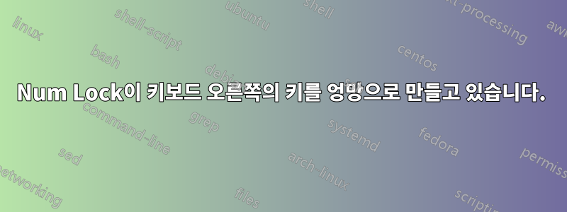 Num Lock이 키보드 오른쪽의 키를 엉망으로 만들고 있습니다.