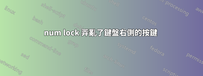 num lock 弄亂了鍵盤右側的按鍵