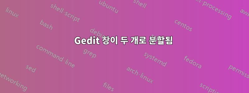 Gedit 창이 두 개로 분할됨