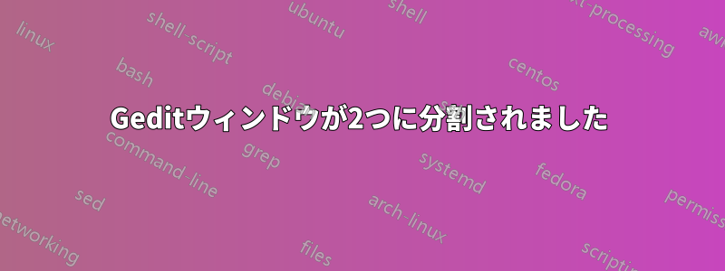 Geditウィンドウが2つに分割されました