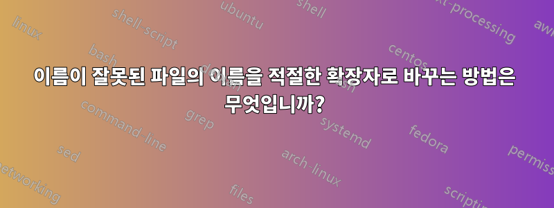 이름이 잘못된 파일의 이름을 적절한 확장자로 바꾸는 방법은 무엇입니까?