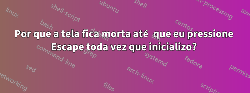 Por que a tela fica morta até que eu pressione Escape toda vez que inicializo?