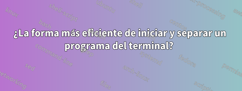 ¿La forma más eficiente de iniciar y separar un programa del terminal? 
