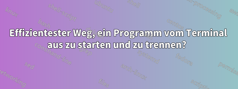 Effizientester Weg, ein Programm vom Terminal aus zu starten und zu trennen? 