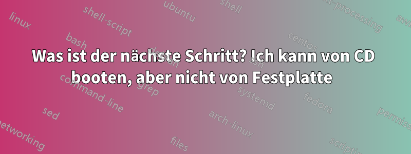 Was ist der nächste Schritt? Ich kann von CD booten, aber nicht von Festplatte 