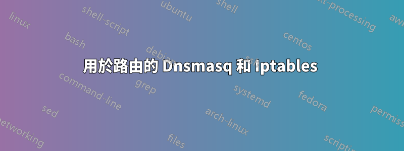 用於路由的 Dnsmasq 和 Iptables