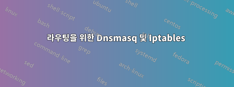 라우팅을 위한 Dnsmasq 및 Iptables