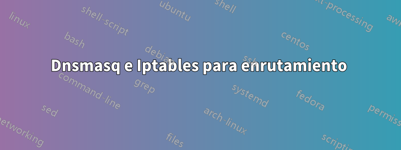 Dnsmasq e Iptables para enrutamiento