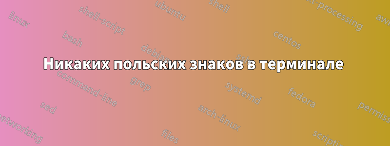 Никаких польских знаков в терминале
