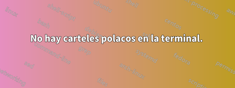 No hay carteles polacos en la terminal.