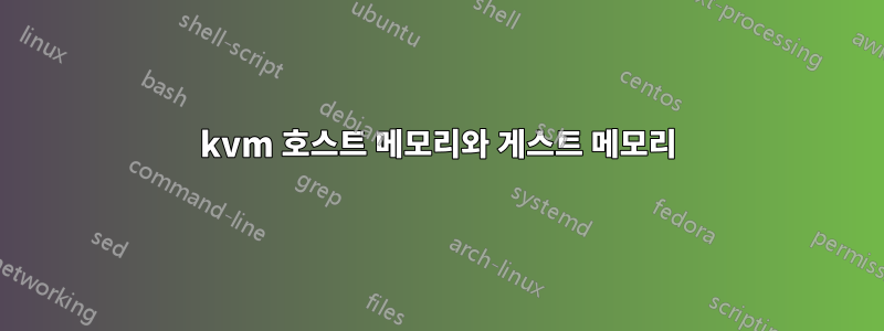 kvm 호스트 메모리와 게스트 메모리