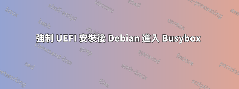 強制 UEFI 安裝後 Debian 進入 Busybox